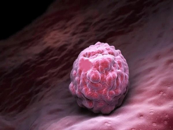 生孩子每年发3600元